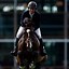 Image result for Equestrianism