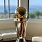 Image result for NBA All-Star MVP Award