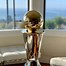 Image result for NBA Championship MVP Trophy