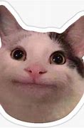 Image result for Hungry Cat Meme Sticker