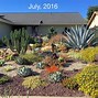 Image result for Succulents Front Yard