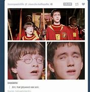 Image result for Harry Potter Dank Memes