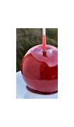 Image result for Easy Homemade Candy Apples