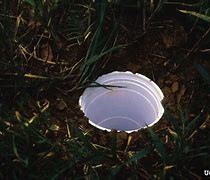 Image result for In 2 Care Mosquito Trap