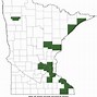 Image result for Minnesota Tree Frogs