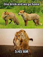 Image result for Fox Meme 2Am