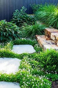 Image result for Cottage Garden Stepping Stones