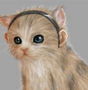 Image result for Cat with Human Ears Meme