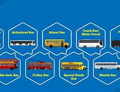 Image result for Types of Buses