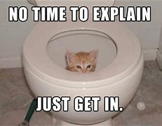 Image result for Cat Clogged the Toilet Meme