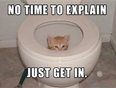 Image result for Cat Playing in Toilet Meme