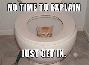 Image result for Potty Cat Meme