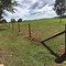 Image result for Barbed Wire Cattle Fence