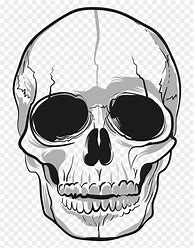 Image result for Easy Skull Head Drawings