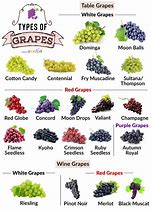 Image result for Diferent Color of Grape Berry