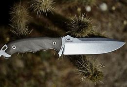 Image result for Best Fixed Blade Fighting Knife