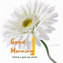 Image result for Bright Good Morning