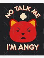 Image result for Reconsider Angry Cat Meme