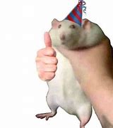 Image result for Ratapoopy Meme Image
