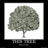 Image result for Money Tree Meme