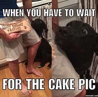 Image result for Gimme Cake Meme