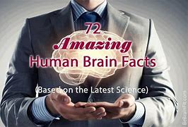 Image result for Brain Fun Facts