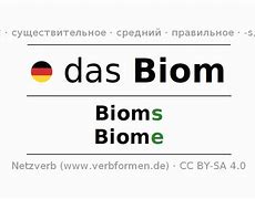 Image result for CFB Biom