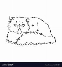 Image result for Persian Cat Outline