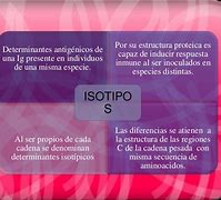 Image result for idiotipo