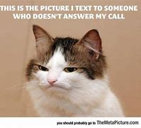 Image result for Meme Are You Ignoring My Calls