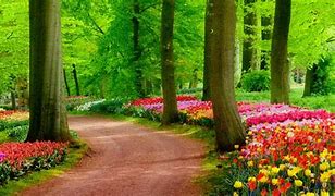 Image result for garden