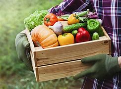 Image result for Ten Fruits Grow On a Farm
