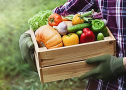 Image result for Local Farm Produce