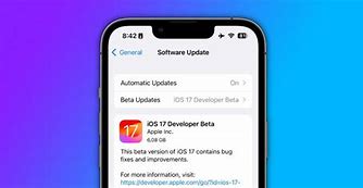 Image result for iOS Public Beta