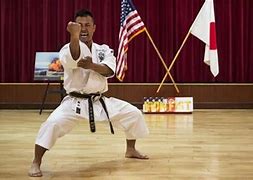 Image result for Best Martial Arts to Learn at Home