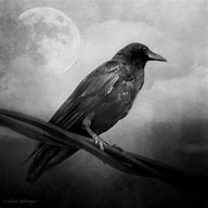 Image result for Gothic Dark Art Raven