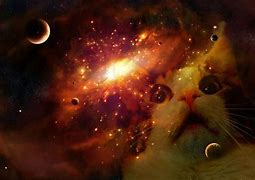 Image result for Space Cats HD Wallpaper
