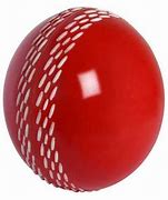 Image result for Playing Cricket