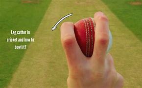 Image result for Cricket Cutter Bowl