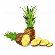 Image result for Pineapple Graphic