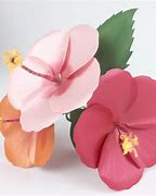 Image result for Hibiscus Paper Flower