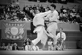 Image result for Karate Japanese Tokyo