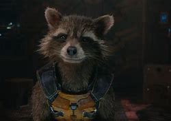 Image result for Marvel Rocket Raccoon Movie