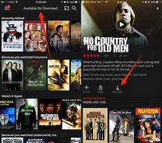 Image result for Can U Download Movies On Netflix
