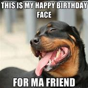 Image result for Dog Birthday Memes