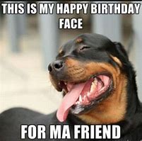 Image result for Happy Bday Dog Meme