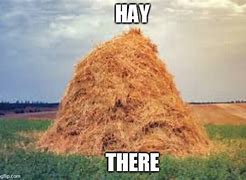 Image result for Roll in the Hay Meme