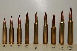 Image result for 308 vs 243 Ammo