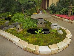 Image result for Indoor Moss Garden