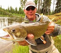 Image result for Fishing Sutton Ontario